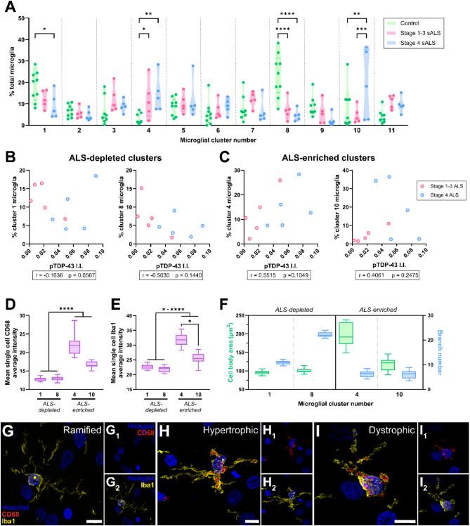 https://cdn.ncbi.nlm.nih.gov/pmc/blobs/52b0/11844090/86137042d189/40478_2025_1941_Fig3_HTML.jpg