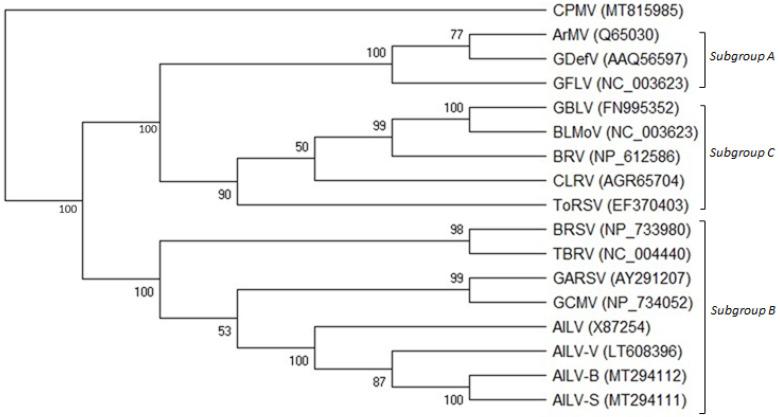 https://cdn.ncbi.nlm.nih.gov/pmc/blobs/52b3/10675341/d194e7100042/viruses-15-02170-g003.jpg