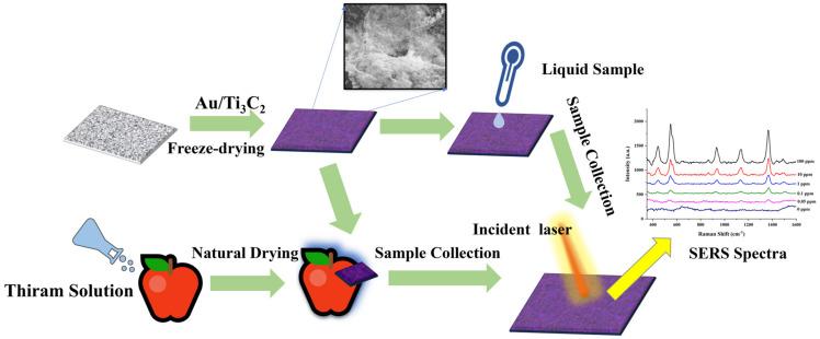 https://cdn.ncbi.nlm.nih.gov/pmc/blobs/52b3/11173843/ea368da66641/nanomaterials-14-00987-g001.jpg