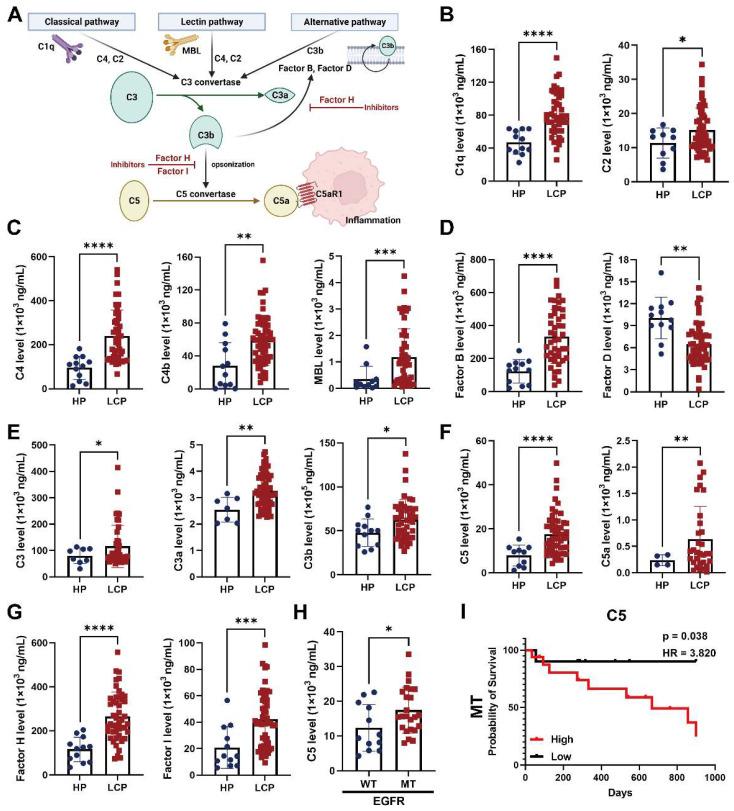 https://cdn.ncbi.nlm.nih.gov/pmc/blobs/52b4/10465223/23b3a3f62d4d/thnov13p4412g005.jpg