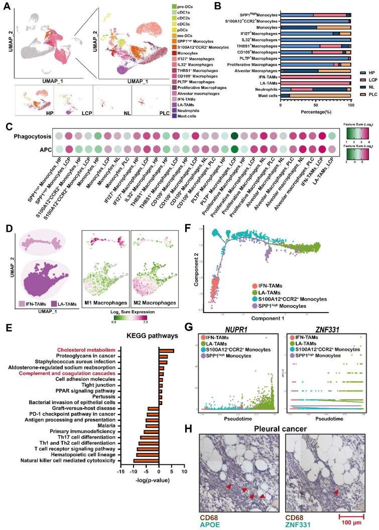 https://cdn.ncbi.nlm.nih.gov/pmc/blobs/52b4/10465223/5a22f3b475dc/thnov13p4412g004.jpg