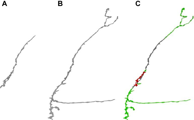 https://cdn.ncbi.nlm.nih.gov/pmc/blobs/52b4/6243011/afacd2f28bbb/fncir-12-00101-g004.jpg