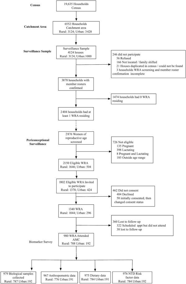 https://cdn.ncbi.nlm.nih.gov/pmc/blobs/52b4/8128722/be9a27e75e31/nzab069fig1.jpg