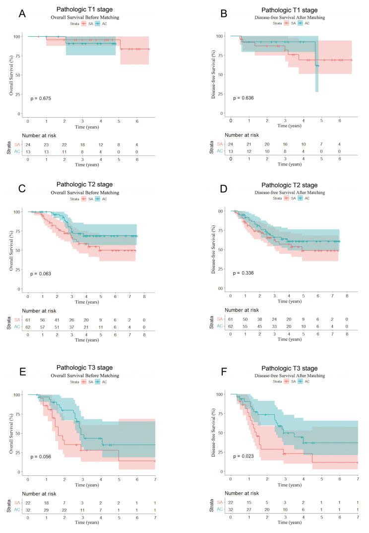 https://cdn.ncbi.nlm.nih.gov/pmc/blobs/52b5/12211139/bd74cf3f67a4/12885_2025_14472_Fig2_HTML.jpg