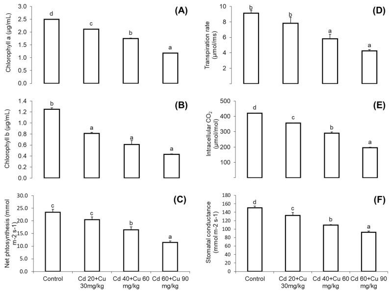 https://cdn.ncbi.nlm.nih.gov/pmc/blobs/52b5/8623172/32e082c25d63/metabolites-11-00769-g001.jpg