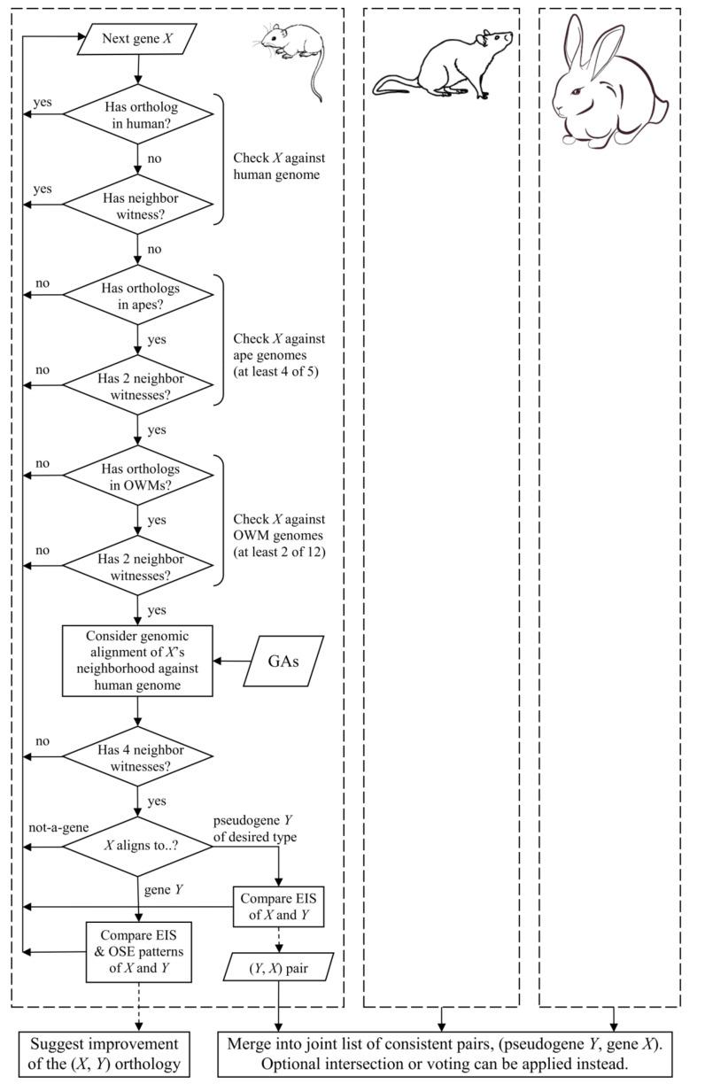 https://cdn.ncbi.nlm.nih.gov/pmc/blobs/52b6/7555810/48deca4b5ef3/life-10-00192-g002.jpg