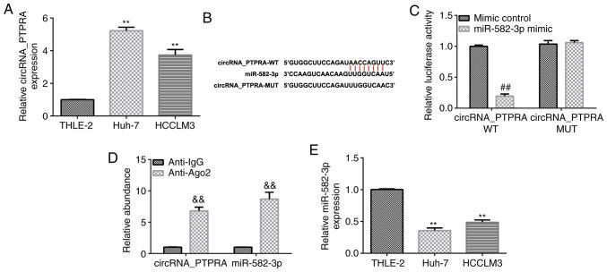 https://cdn.ncbi.nlm.nih.gov/pmc/blobs/52b6/8456459/7e3e363565d9/etm-22-05-10711-g00.jpg