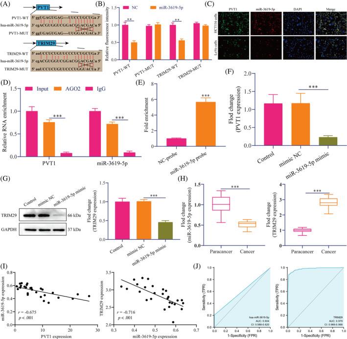 https://cdn.ncbi.nlm.nih.gov/pmc/blobs/52b7/11150075/37e55e4d5857/CNR2-7-e2085-g001.jpg