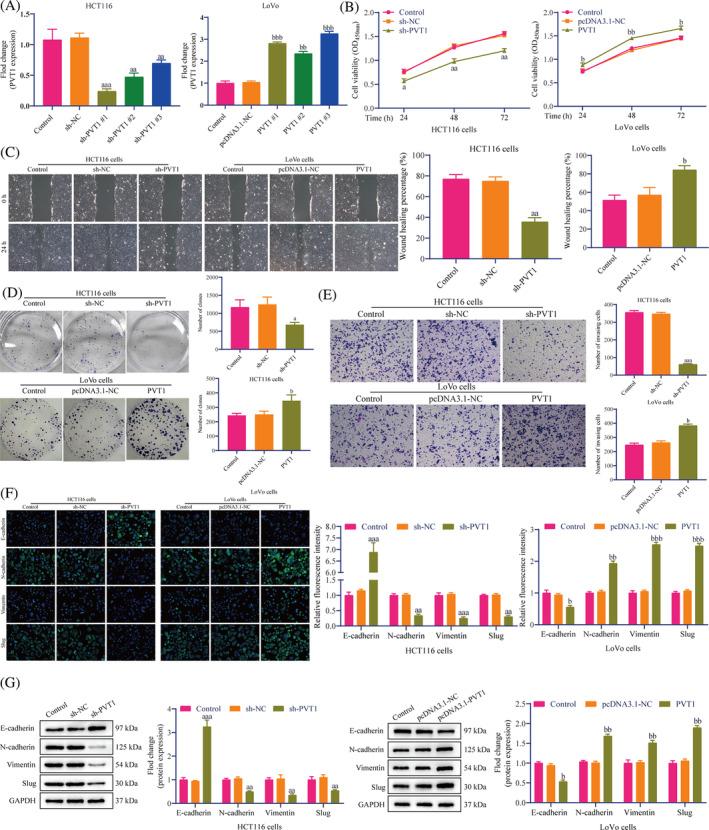 https://cdn.ncbi.nlm.nih.gov/pmc/blobs/52b7/11150075/423ef171aea9/CNR2-7-e2085-g002.jpg