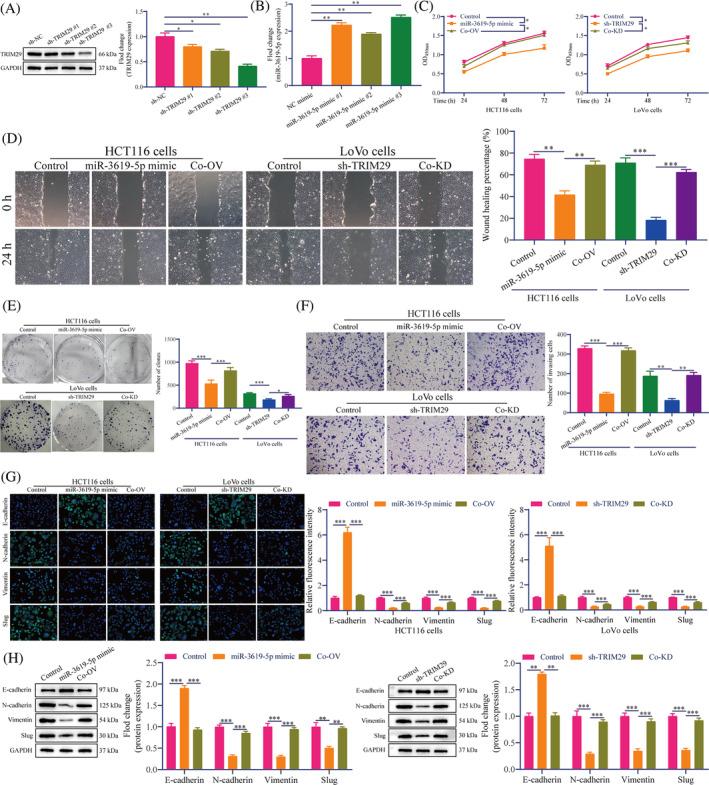 https://cdn.ncbi.nlm.nih.gov/pmc/blobs/52b7/11150075/a653adca5879/CNR2-7-e2085-g005.jpg