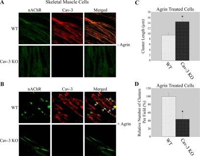 https://cdn.ncbi.nlm.nih.gov/pmc/blobs/52b8/2808226/b4490b8c42c4/zmk0021093300003.jpg