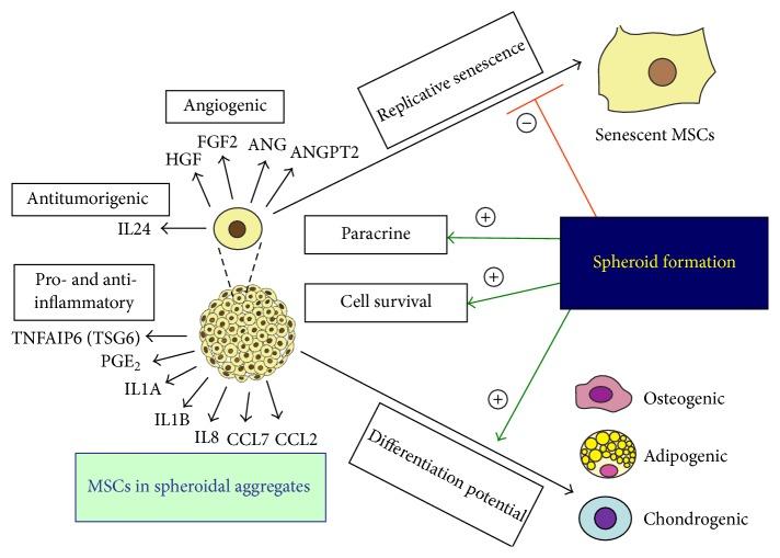 https://cdn.ncbi.nlm.nih.gov/pmc/blobs/52b8/4663368/df535e61486b/SCI2016-9176357.001.jpg