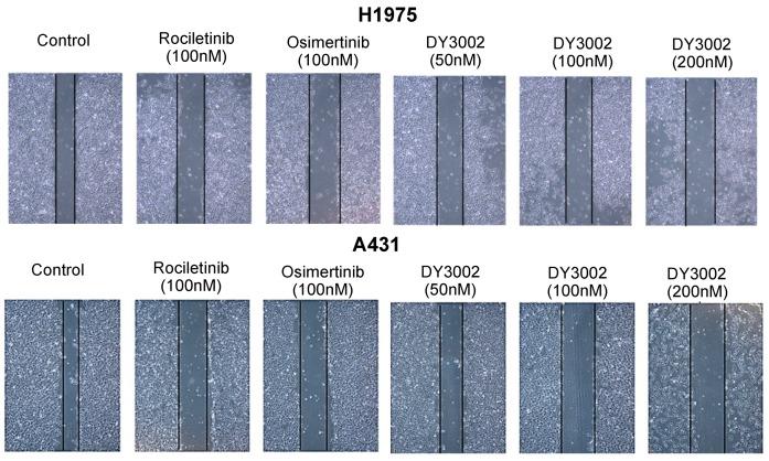 https://cdn.ncbi.nlm.nih.gov/pmc/blobs/52b9/6274483/ac3fb93442dc/molecules-21-01462-g006.jpg