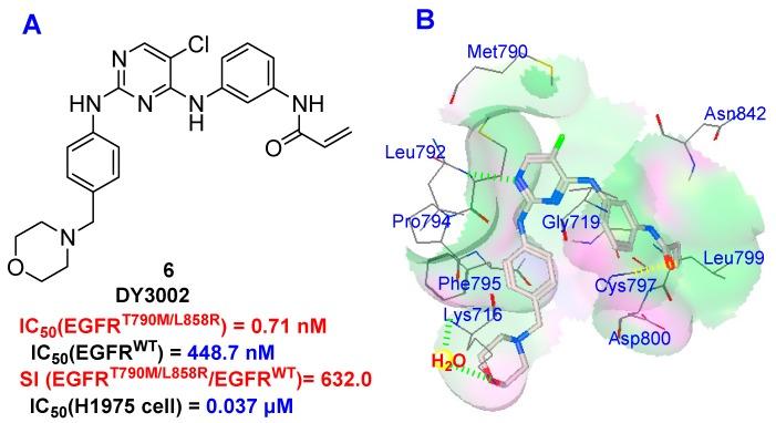https://cdn.ncbi.nlm.nih.gov/pmc/blobs/52b9/6274483/b49f040cdffe/molecules-21-01462-g002.jpg