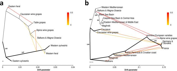 https://cdn.ncbi.nlm.nih.gov/pmc/blobs/52b9/8692429/cc42328fdbf3/41467_2021_27487_Fig1_HTML.jpg