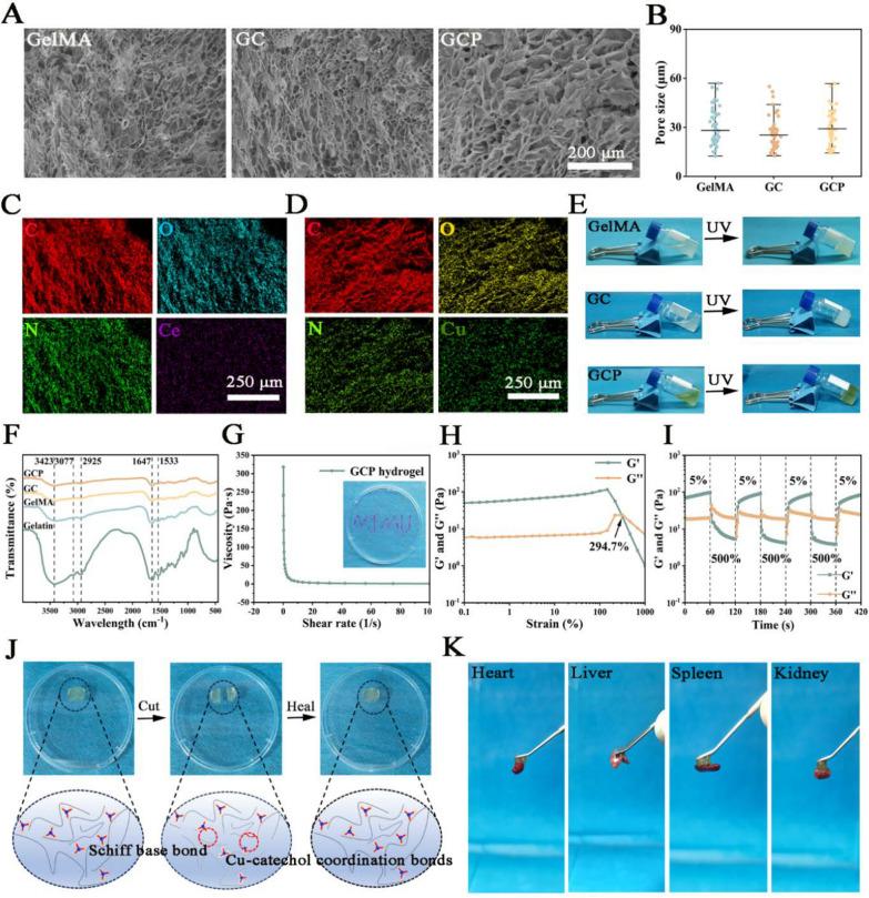 https://cdn.ncbi.nlm.nih.gov/pmc/blobs/52ba/11917161/4f8d3e5862c1/12951_2025_3285_Fig3_HTML.jpg