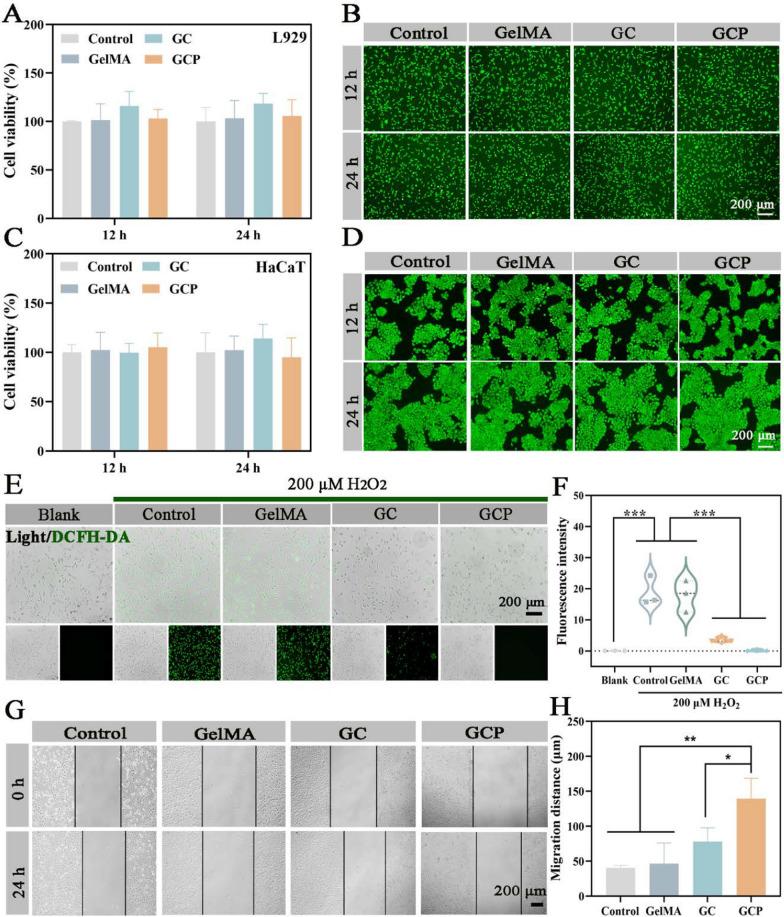 https://cdn.ncbi.nlm.nih.gov/pmc/blobs/52ba/11917161/83857a17ef15/12951_2025_3285_Fig5_HTML.jpg