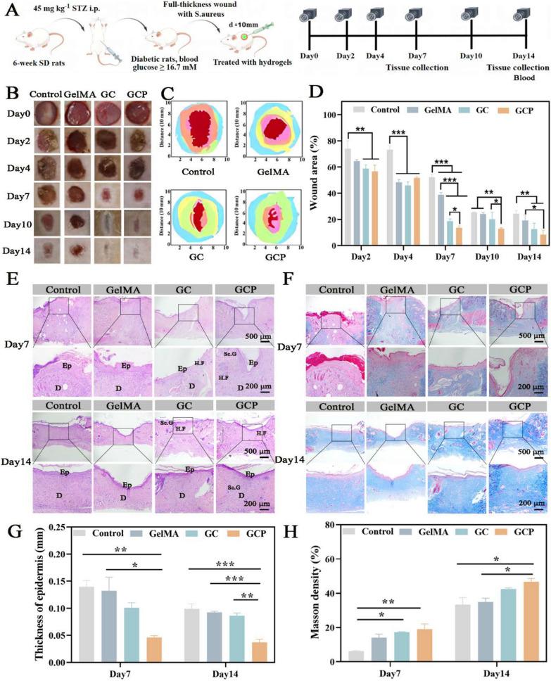 https://cdn.ncbi.nlm.nih.gov/pmc/blobs/52ba/11917161/86e441c32a76/12951_2025_3285_Fig8_HTML.jpg