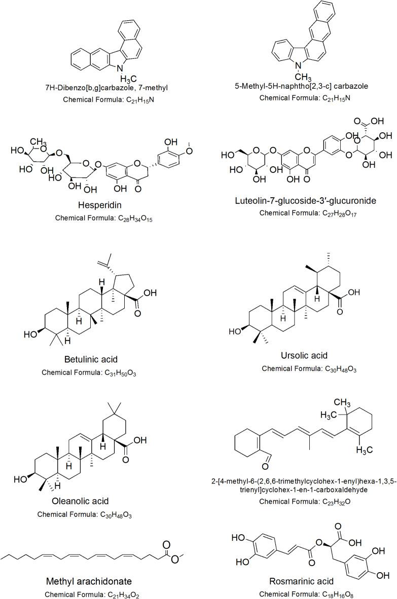 https://cdn.ncbi.nlm.nih.gov/pmc/blobs/52bb/11982357/4225c1d58921/41598_2025_96417_Fig2_HTML.jpg