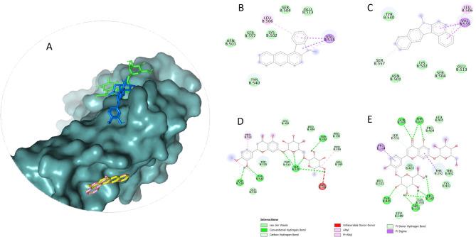 https://cdn.ncbi.nlm.nih.gov/pmc/blobs/52bb/11982357/b60a36609e8e/41598_2025_96417_Fig8_HTML.jpg