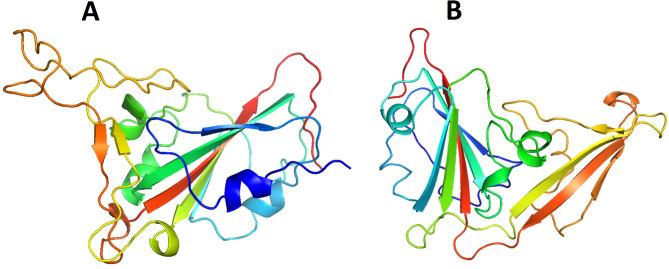 https://cdn.ncbi.nlm.nih.gov/pmc/blobs/52bb/11982357/f4cd78a29d31/41598_2025_96417_Fig1_HTML.jpg