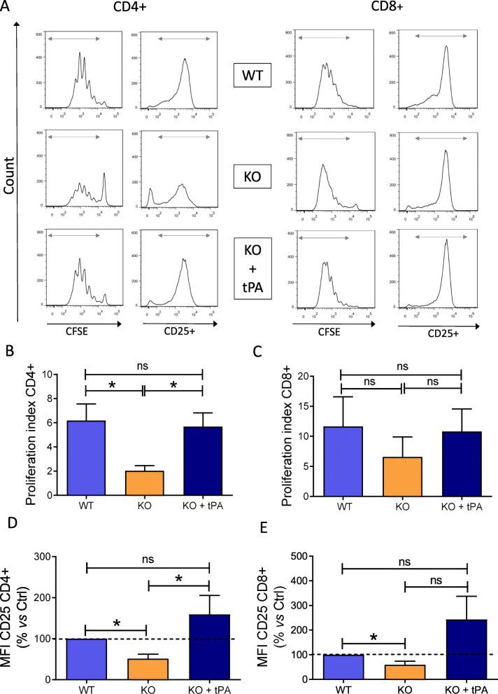 https://cdn.ncbi.nlm.nih.gov/pmc/blobs/52bb/7897384/ddad423c5433/12974_2021_2102_Fig3_HTML.jpg