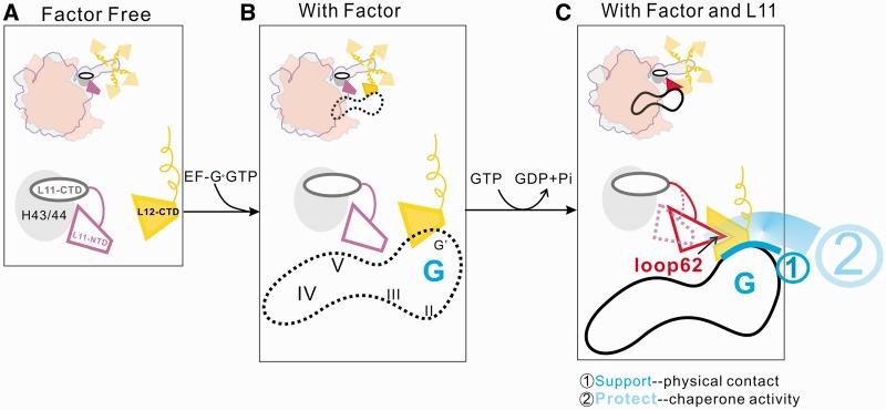 https://cdn.ncbi.nlm.nih.gov/pmc/blobs/52bc/3505967/bff89260e133/gks833f7p.jpg