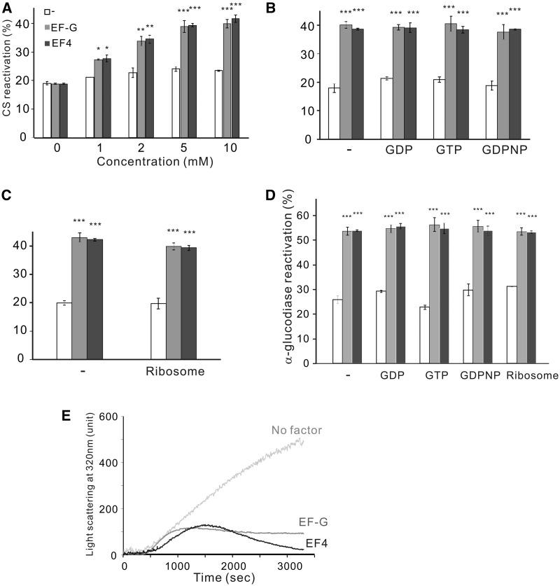 https://cdn.ncbi.nlm.nih.gov/pmc/blobs/52bc/3505967/ea6a3a047213/gks833f4p.jpg