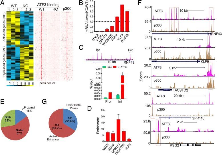 https://cdn.ncbi.nlm.nih.gov/pmc/blobs/52bd/4857411/a90b20fe4df4/12864_2016_2664_Fig4_HTML.jpg