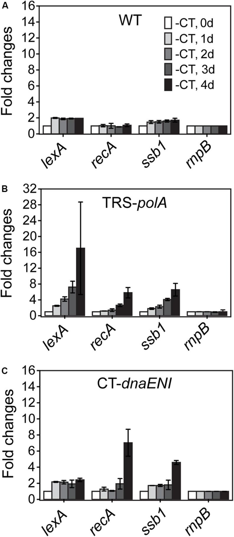 https://cdn.ncbi.nlm.nih.gov/pmc/blobs/52be/7283527/29b52435c08e/fmicb-11-01108-g004.jpg