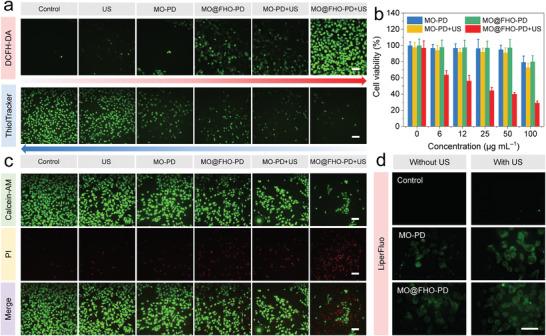 https://cdn.ncbi.nlm.nih.gov/pmc/blobs/52be/9189684/f10e0cddc1a3/ADVS-9-2200005-g003.jpg