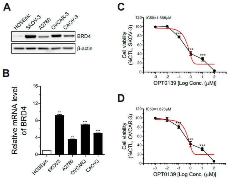 https://cdn.ncbi.nlm.nih.gov/pmc/blobs/52c0/10930785/474edad4057c/cancers-16-00959-g001.jpg