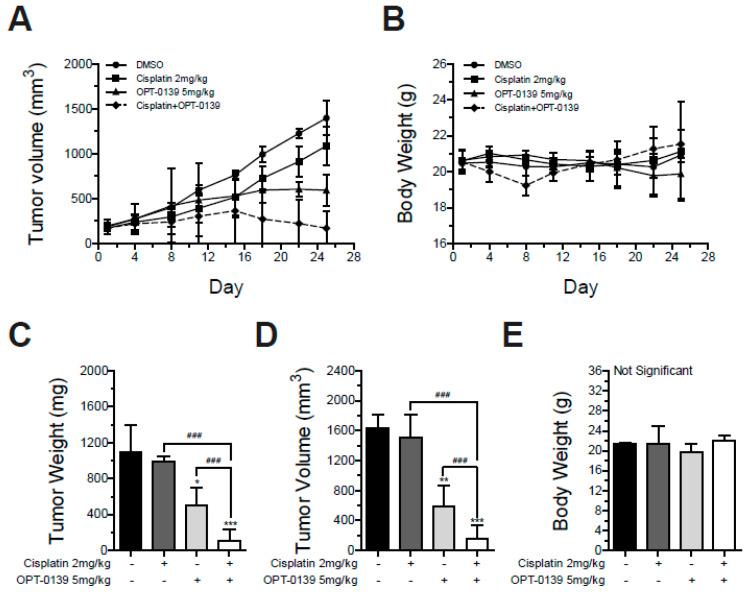 https://cdn.ncbi.nlm.nih.gov/pmc/blobs/52c0/10930785/9c72d2091c08/cancers-16-00959-g008.jpg