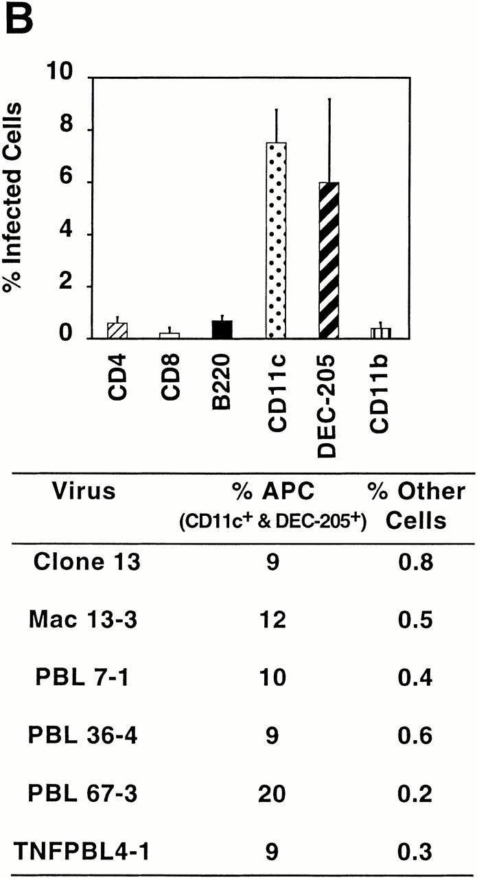 https://cdn.ncbi.nlm.nih.gov/pmc/blobs/52c2/2193355/cb2f491ba10d/JEM001194.f3b.jpg