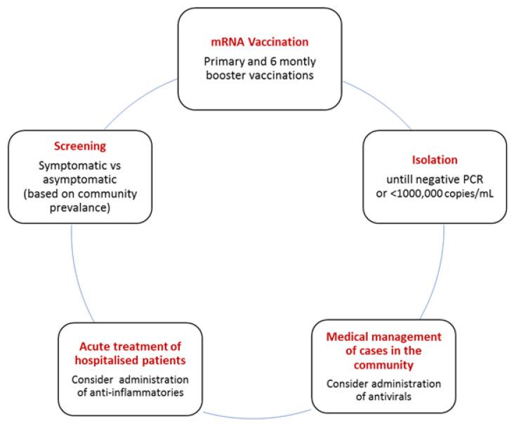 https://cdn.ncbi.nlm.nih.gov/pmc/blobs/52c4/10046485/4a52d9d2de63/biomedicines-11-00926-g002.jpg