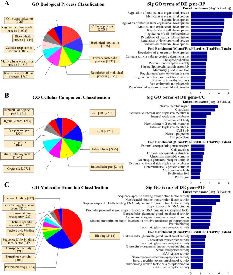 https://cdn.ncbi.nlm.nih.gov/pmc/blobs/52c4/4725352/290ced8880f3/srep19162-f5.jpg