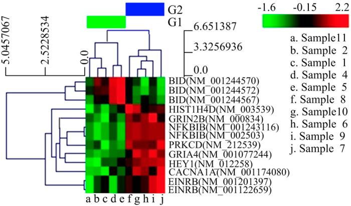 https://cdn.ncbi.nlm.nih.gov/pmc/blobs/52c4/4725352/3d04537ea73d/srep19162-f4.jpg