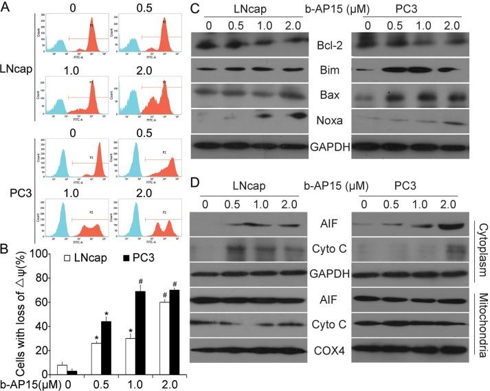 https://cdn.ncbi.nlm.nih.gov/pmc/blobs/52c5/5609916/83e34ec7dd12/oncotarget-08-63232-g004.jpg