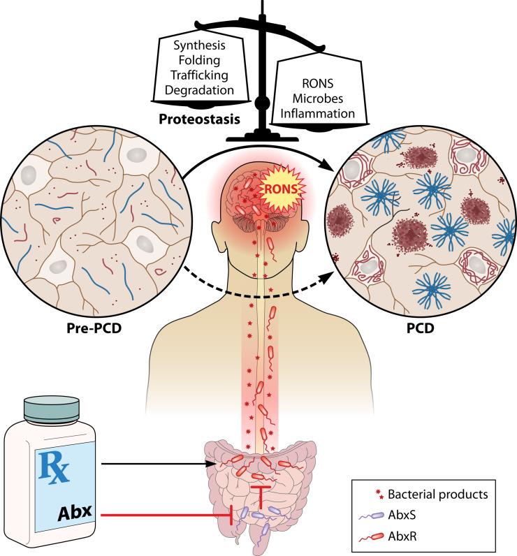 https://cdn.ncbi.nlm.nih.gov/pmc/blobs/52c6/10580905/42a687931a6b/iai.00437-22.f002.jpg