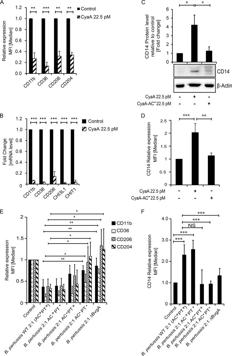 https://cdn.ncbi.nlm.nih.gov/pmc/blobs/52c6/6759761/3d4c8c6e0293/mBio.01743-19-f0002.jpg