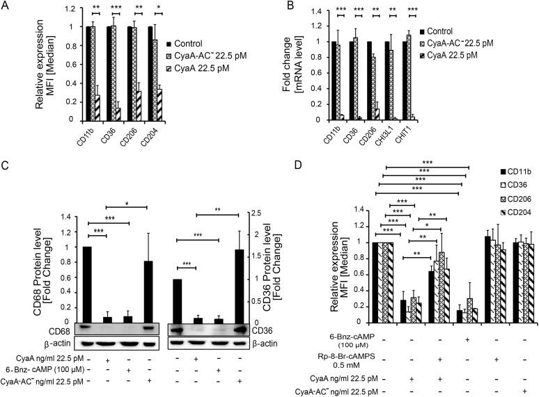 https://cdn.ncbi.nlm.nih.gov/pmc/blobs/52c6/6759761/bf54be64af80/mBio.01743-19-f0003.jpg