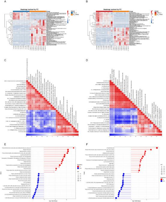 https://cdn.ncbi.nlm.nih.gov/pmc/blobs/52c9/12105109/914a846370a4/BRB3-15-e70558-g006.jpg