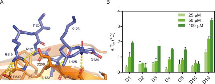 https://cdn.ncbi.nlm.nih.gov/pmc/blobs/52ca/12401543/70888c227bb4/elife-104238-fig3.jpg