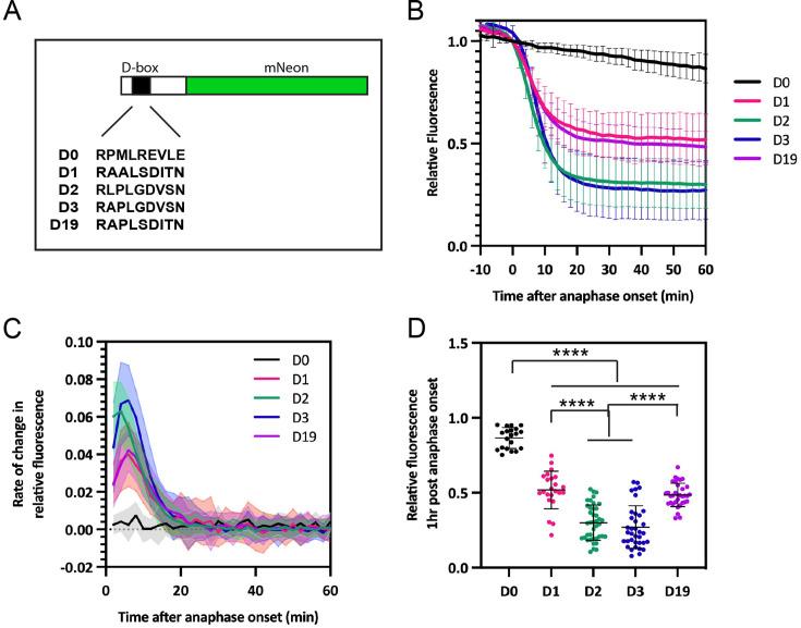 https://cdn.ncbi.nlm.nih.gov/pmc/blobs/52ca/12401543/99e7ec510a98/elife-104238-fig8.jpg