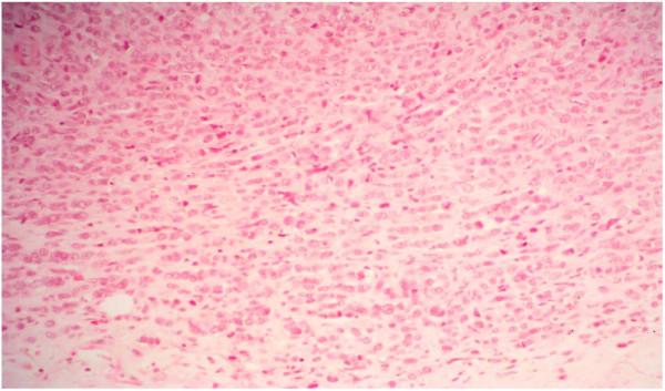 https://cdn.ncbi.nlm.nih.gov/pmc/blobs/52ca/1570350/0d74918012f7/1477-7800-3-26-6.jpg