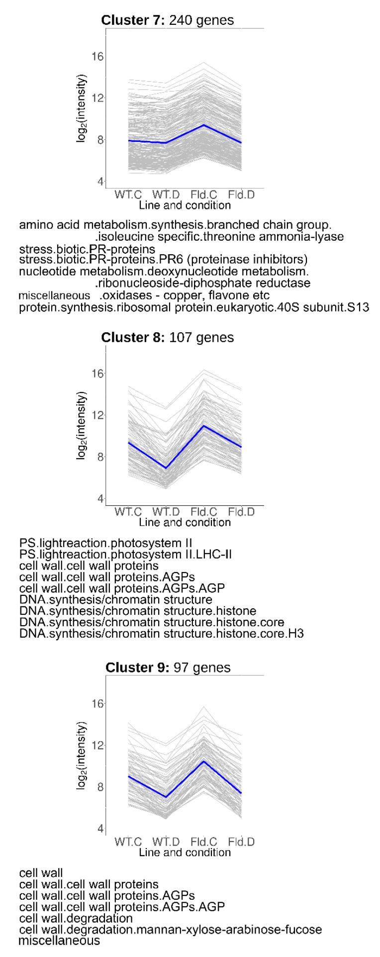 https://cdn.ncbi.nlm.nih.gov/pmc/blobs/52ca/7582712/4d7b8fad3b62/ijms-21-07199-g006.jpg