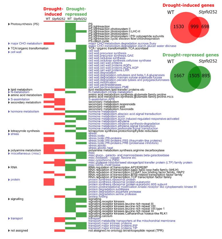 https://cdn.ncbi.nlm.nih.gov/pmc/blobs/52ca/7582712/b869d5608485/ijms-21-07199-g004.jpg