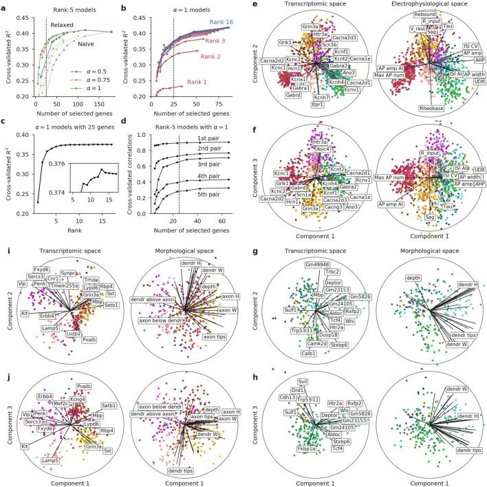 https://cdn.ncbi.nlm.nih.gov/pmc/blobs/52cb/8494644/1705ed74ce92/41586_2020_2907_Fig10_ESM.jpg