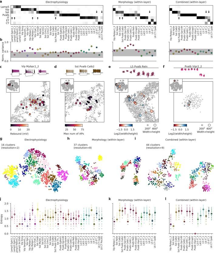 https://cdn.ncbi.nlm.nih.gov/pmc/blobs/52cb/8494644/476f6e21bb39/41586_2020_2907_Fig13_ESM.jpg