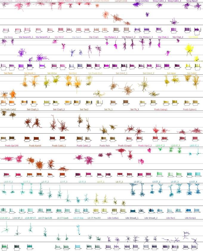 https://cdn.ncbi.nlm.nih.gov/pmc/blobs/52cb/8494644/6251db960bdf/41586_2020_2907_Fig8_ESM.jpg